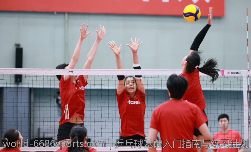 乒乓球基础入门指南与练习计划