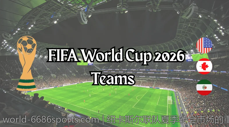 纽卡斯尔联队夏季转会市场的重磅动作分析